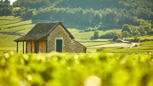 Le festival du mois des Climats débute ce vendredi 